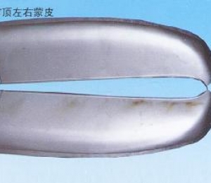 前顶左右蒙皮